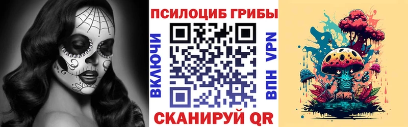 Галлюциногенные грибы Cubensis  Светлогорск 