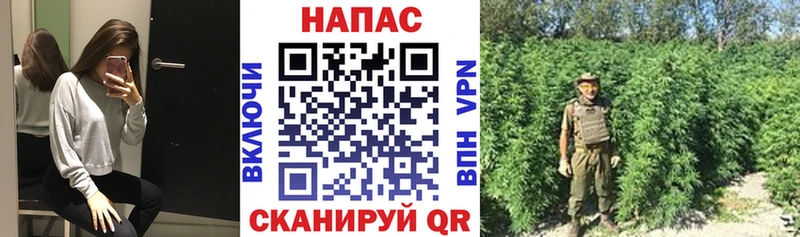 Бошки Шишки сатива  Светлогорск 